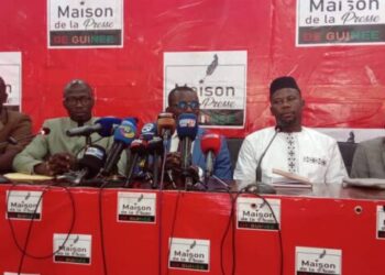 Référendum en Guinée : “Nous avons un gouvernement incompétent ” Abdoulaye Kourouma 