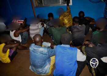 Arrestation de plusieurs personnes et saisi une importante quantité de stupéfiants à Nongo 